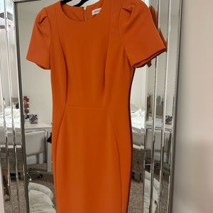 Calvin Klein sz 2 dress